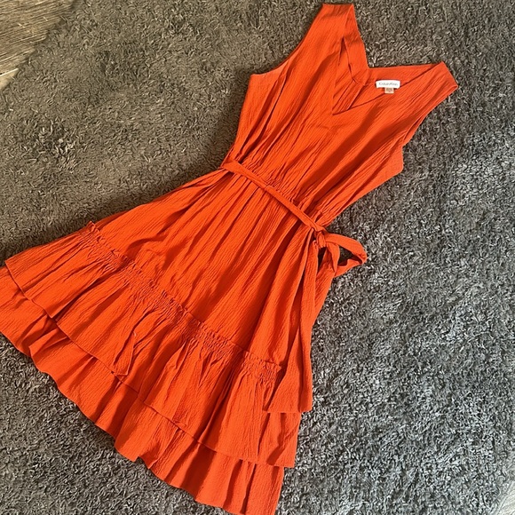 Burnt Orange Calvin Klein Dress - Picture 6 of 7